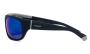 SUNGLASSES POLAROID PLD 2125/S XW05X 6618
