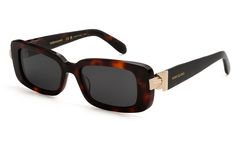 SUNGLASSES FERRAGAMO SF1105S 240 5217 1