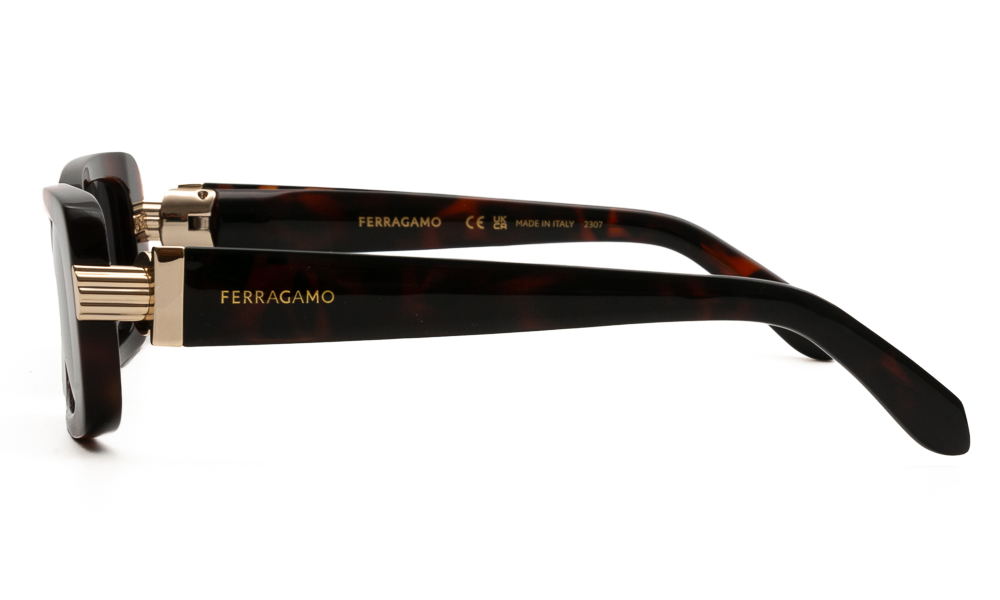 SUNGLASSES FERRAGAMO SF1105S 240 5217 3