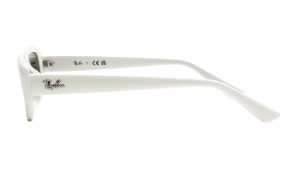 SUNGLASSES RAY BAN 4436D 677287 5516 3