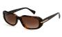 SUNGLASSES RALPH 5311U 500313 5417