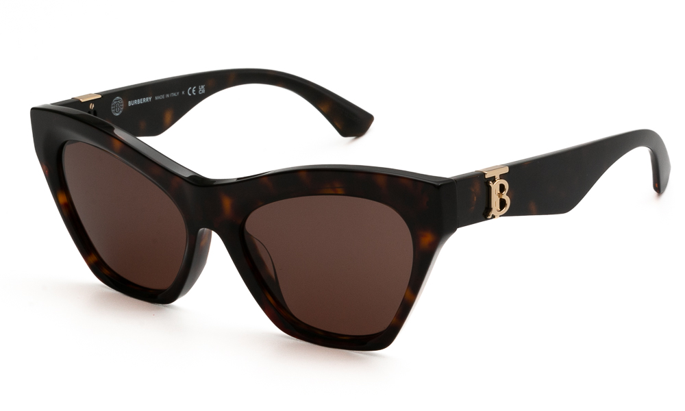 SUNGLASSES BURBERRY 4420U 300273 5518 1