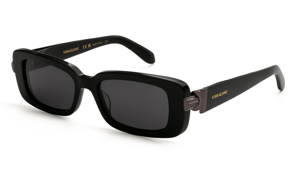 SUNGLASSES FERRAGAMO SF1105S 001 5217 1