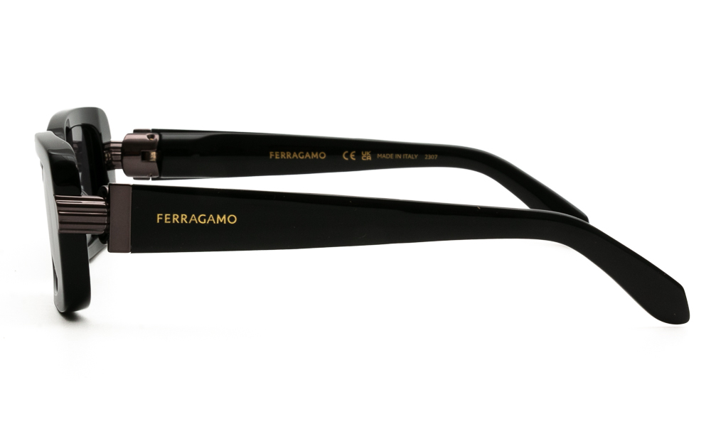 ΓΥΑΛΙΑ ΗΛΙΟΥ FERRAGAMO SF1105S 001 5217 3