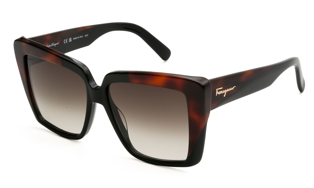 ΓΥΑΛΙΑ ΗΛΙΟΥ FERRAGAMO SF1060S 006 5514 1