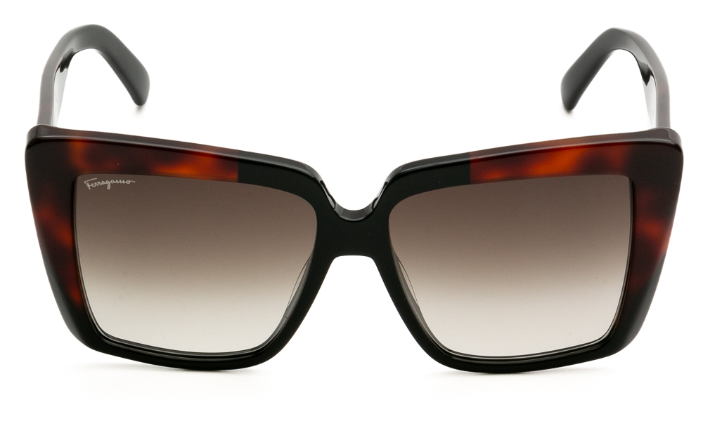 SUNGLASSES FERRAGAMO SF1060S 006 5514 2