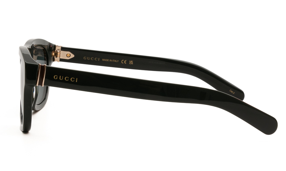 SUNGLASSES GUCCI 1509S 004 5420 3