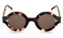 SUNGLASSES KALEOS SWINEY C003 4628