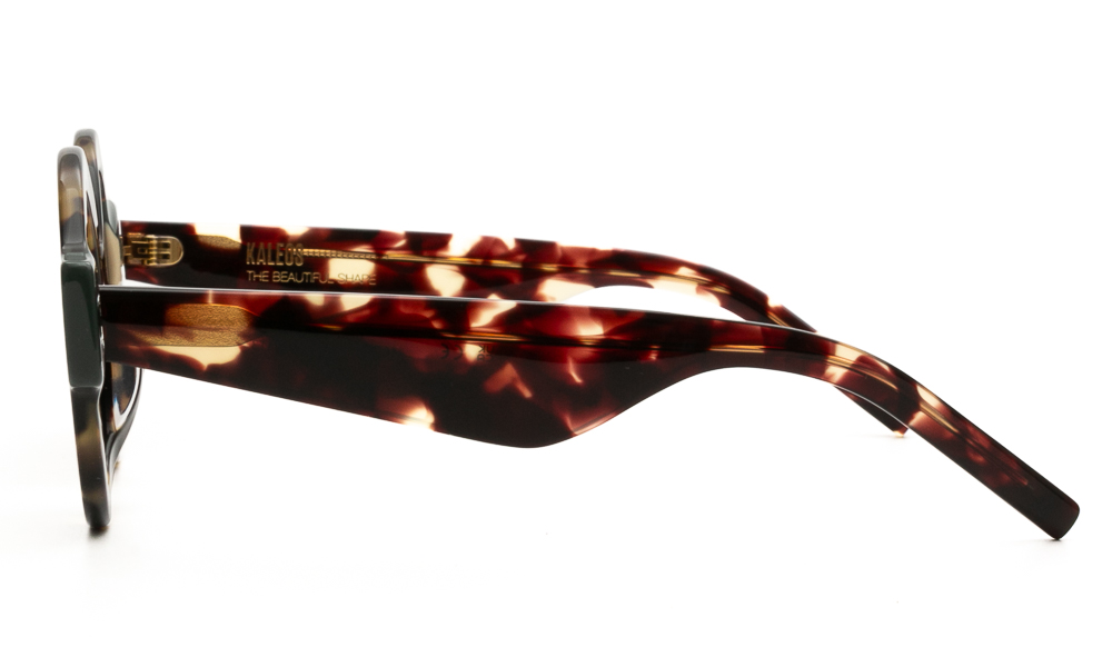 SUNGLASSES KALEOS SWINEY C003 4628 3