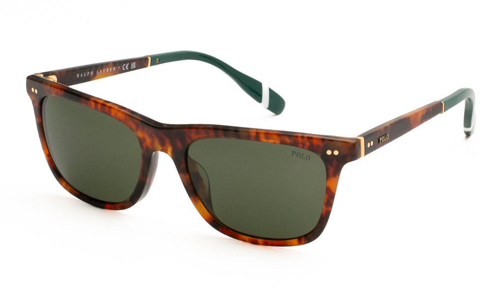 SUNGLASSES POLO R. LAUREN 4205U 501771 5618 1