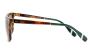 SUNGLASSES POLO R. LAUREN 4205U 501771 5618