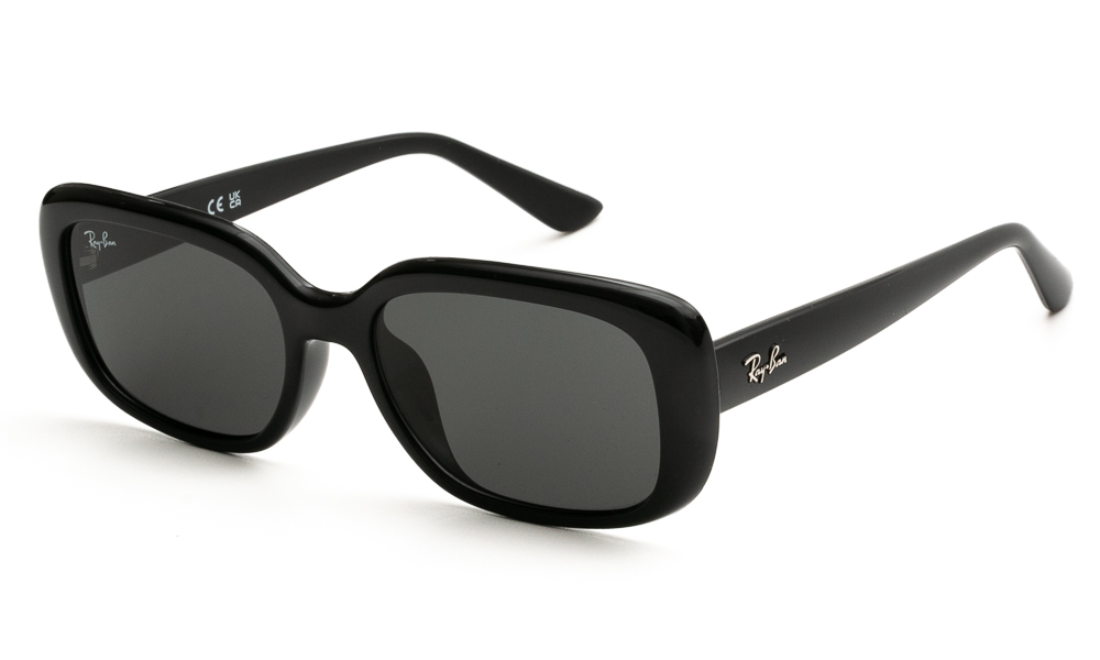 SUNGLASSES RAY BAN 4421D 667787 5618 1