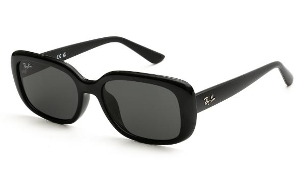 SUNGLASSES RAY BAN 4421D 667787 5618