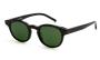 SUNGLASSES COMMON SENSE 003 BLK GREEN 4623