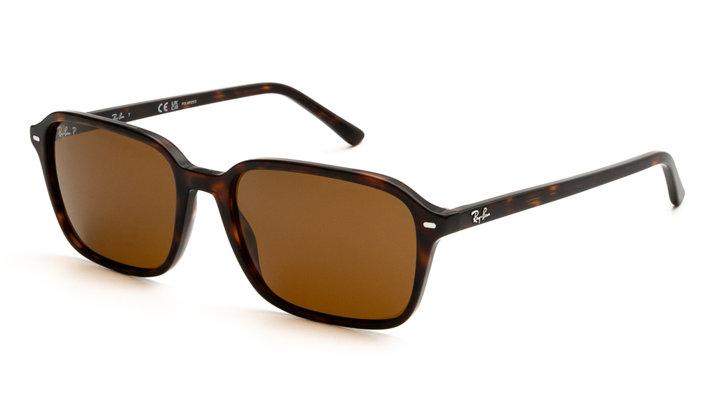 SUNGLASSES RAY BAN 2231 902/57 5818 1