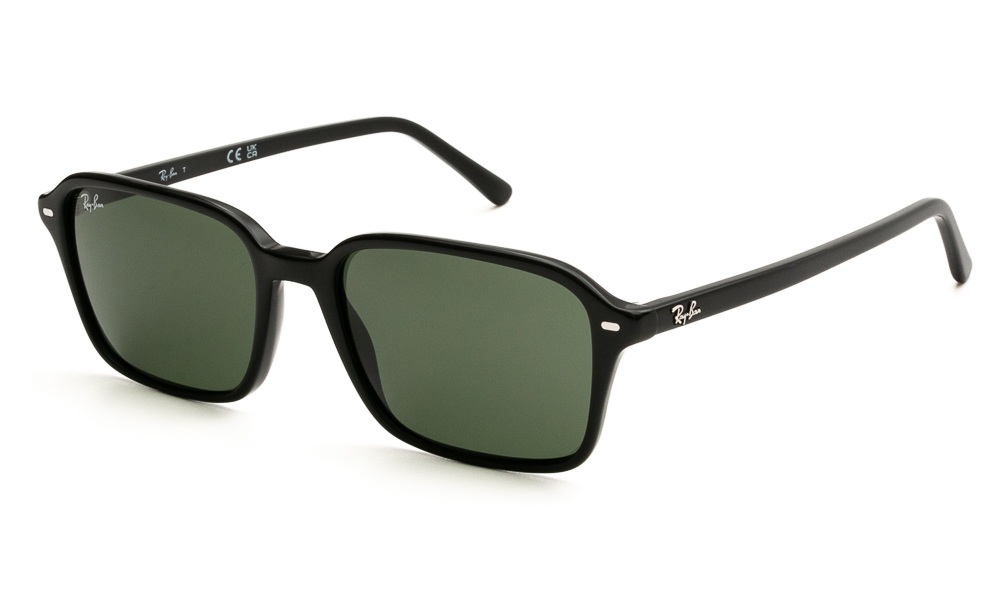 SUNGLASSES RAY BAN 2231 901/31 5618 1