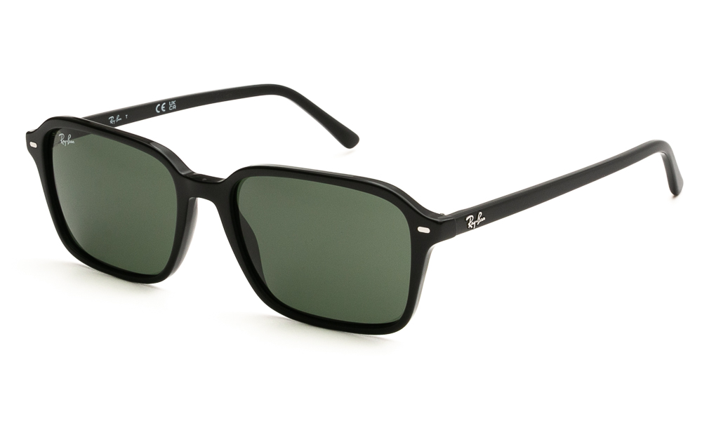 SUNGLASSES RAY BAN 2231 901/31 5818 1