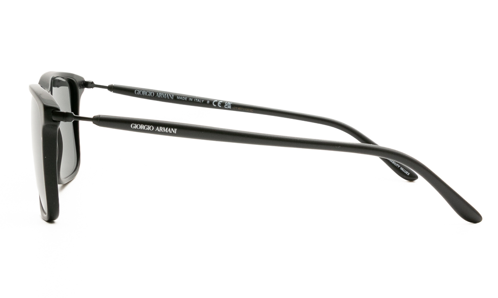 SUNGLASSES GIORGIO ARMANI 8218 587587 5617 3