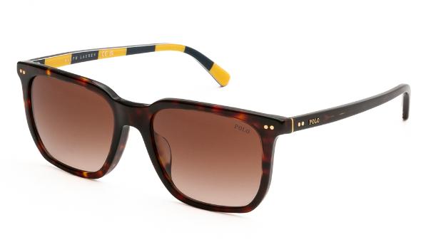 SUNGLASSES POLO R. LAUREN 4224U 500313 5518