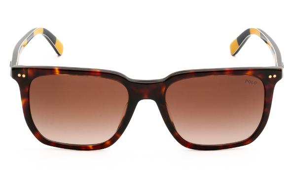 SUNGLASSES POLO R. LAUREN 4224U 500313 5518 - 2