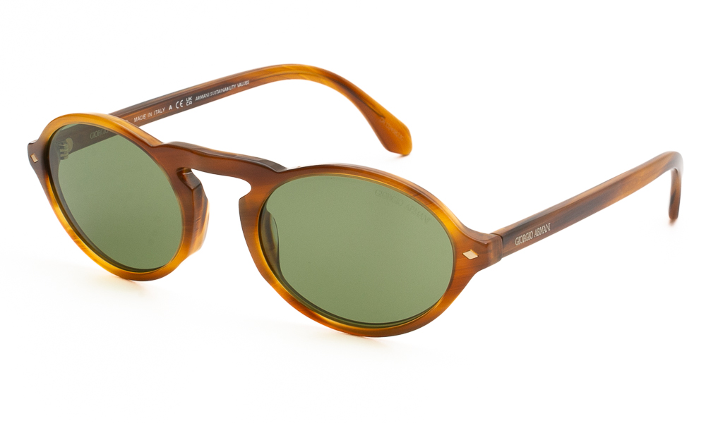 SUNGLASSES GIORGIO ARMANI 8219U 616314 5222 1