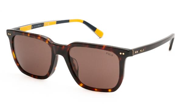SUNGLASSES POLO R. LAUREN 4224U 500373 5518