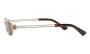 SUNGLASSES BOTTEGA VENETA 1381S 001 5020