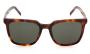SUNGLASSES SAINT LAURENT SL M146 003 5419