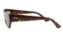 ΓΥΑΛΙΑ ΗΛΙΟΥ RAY BAN 4430 135913 4922