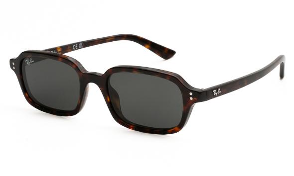 ΓΥΑΛΙΑ ΗΛΙΟΥ RAY BAN ZURI 4455 135987 5219