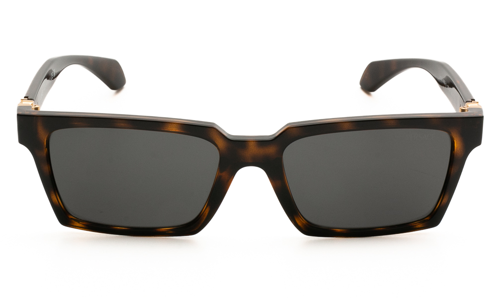 ΓΥΑΛΙΑ ΗΛΙΟΥ VERSACE 4490U 108/87 5518 2