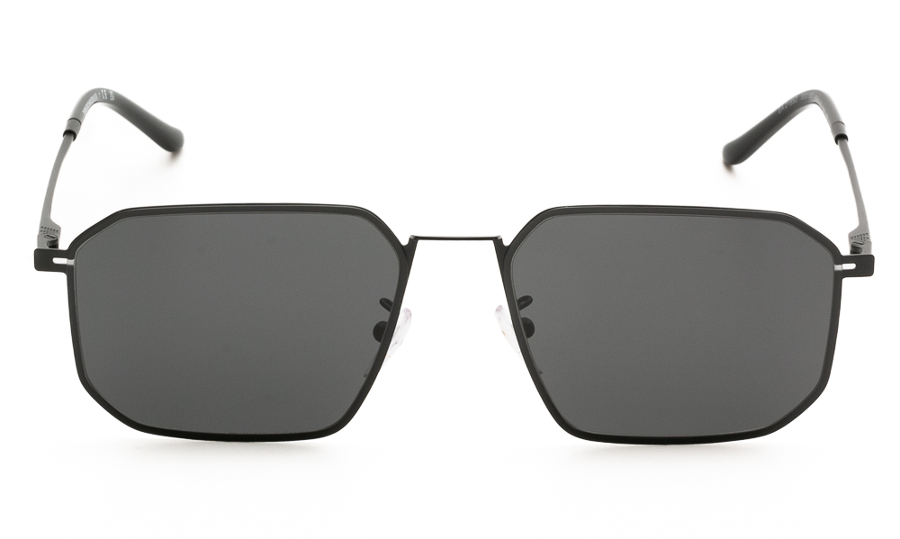 ΓΥΑΛΙΑ ΗΛΙΟΥ EMPORIO ARMANI 2165D 300187 5816 2
