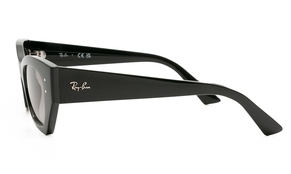 SUNGLASSES RAY BAN 4430 667711 5222 3