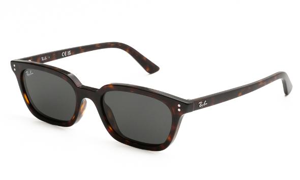 ΓΥΑΛΙΑ ΗΛΙΟΥ RAY BAN ZAYA 4456 135987 5319