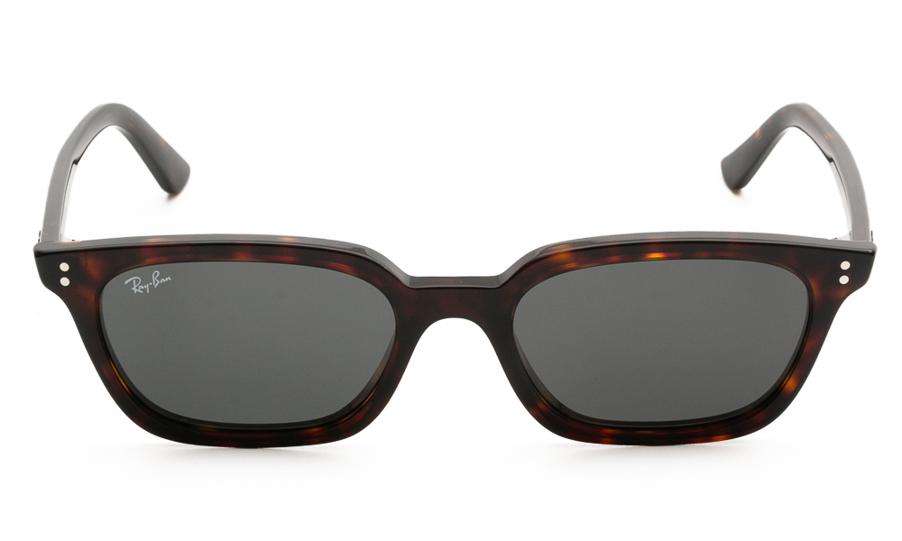 SUNGLASSES RAY BAN 4456 135987 5319 2
