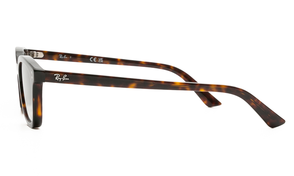 SUNGLASSES RAY BAN 4456 135987 5319 3