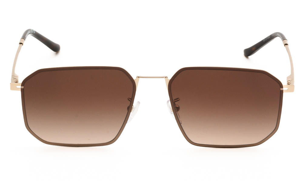 ΓΥΑΛΙΑ ΗΛΙΟΥ EMPORIO ARMANI 2165D 300213 5816 2