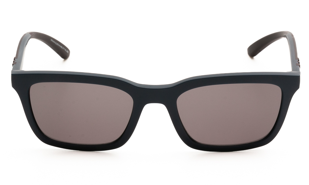 ΓΥΑΛΙΑ ΗΛΙΟΥ EMPORIO ARMANI 4249U 62607N 5520 2