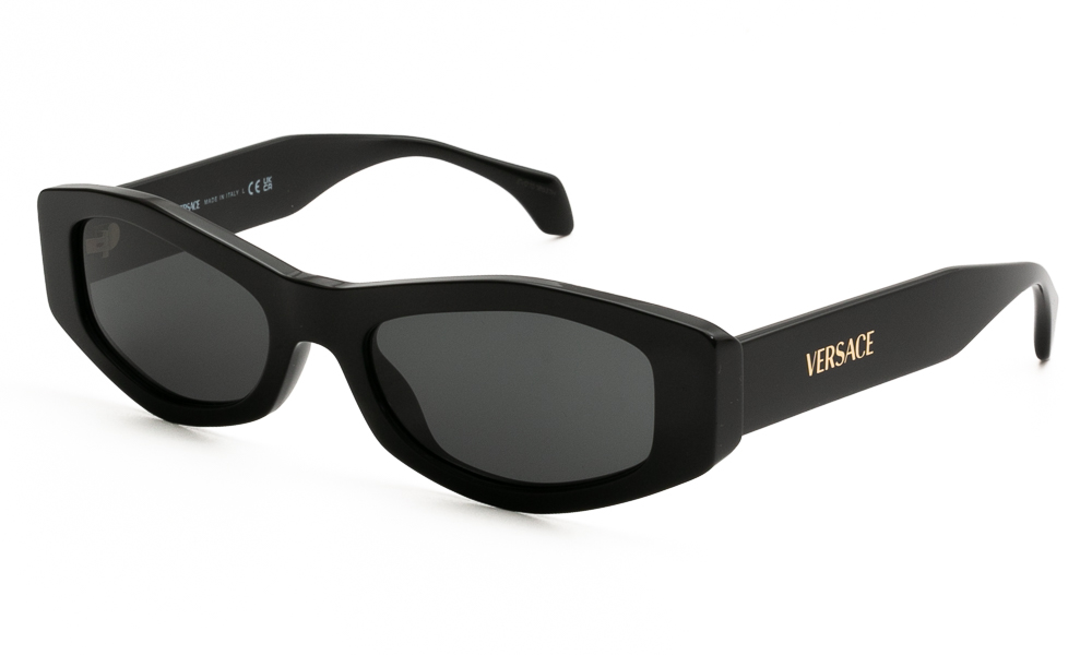 SUNGLASSES VERSACE 4487 GB1/87 5419 1
