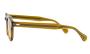 SUNGLASSES MOSCOT MAYDELA OLIVE BROWN CHEST 4622