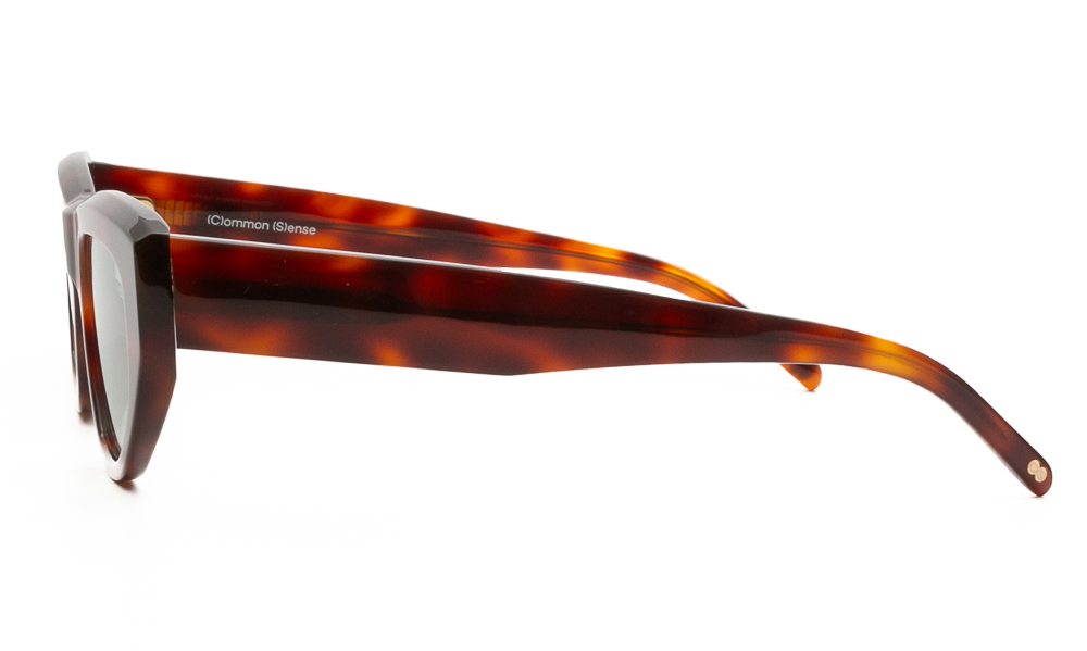 SUNGLASSES COMMON SENSE 036 HVN 5022 3