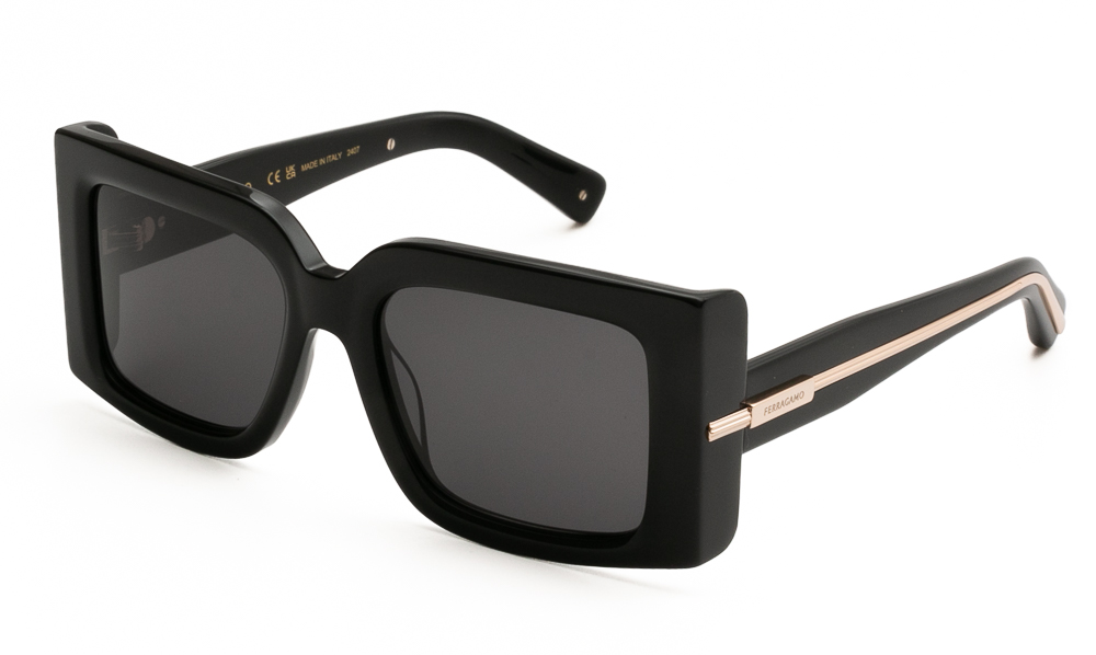 ΓΥΑΛΙΑ ΗΛΙΟΥ FERRAGAMO SF2032S 001 5519 1