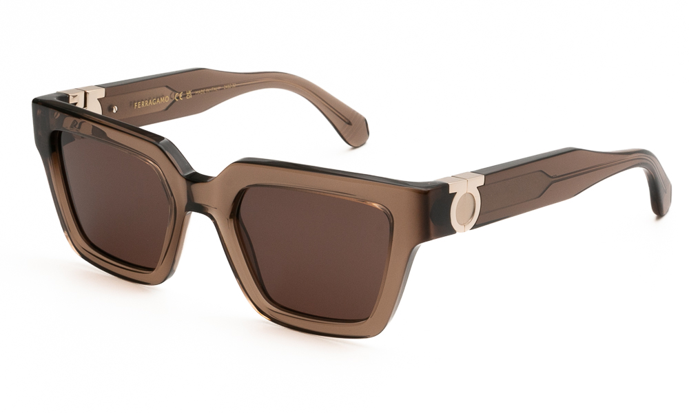 ΓΥΑΛΙΑ ΗΛΙΟΥ FERRAGAMO SF2066S 232 5221 1