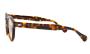 ΓΥΑΛΙΑ ΗΛΙΟΥ MOSCOT LEMTOSH BASE 2 TORTOISE NY ROSE 4624