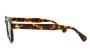 ΓΥΑΛΙΑ ΗΛΙΟΥ MOSCOT LEMTOSH BASE 2 TORTOISE CELEBRITY BL 4624