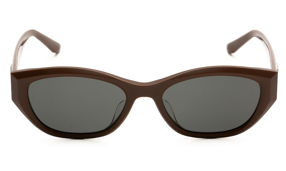 ΓΥΑΛΙΑ ΗΛΙΟΥ MOLSION MS3105 C21 5518 2