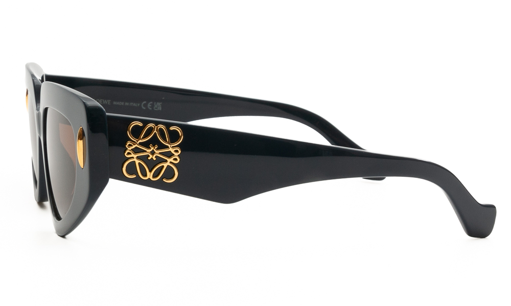 ΓΥΑΛΙΑ ΗΛΙΟΥ LOEWE 40160I 90E 5119 3