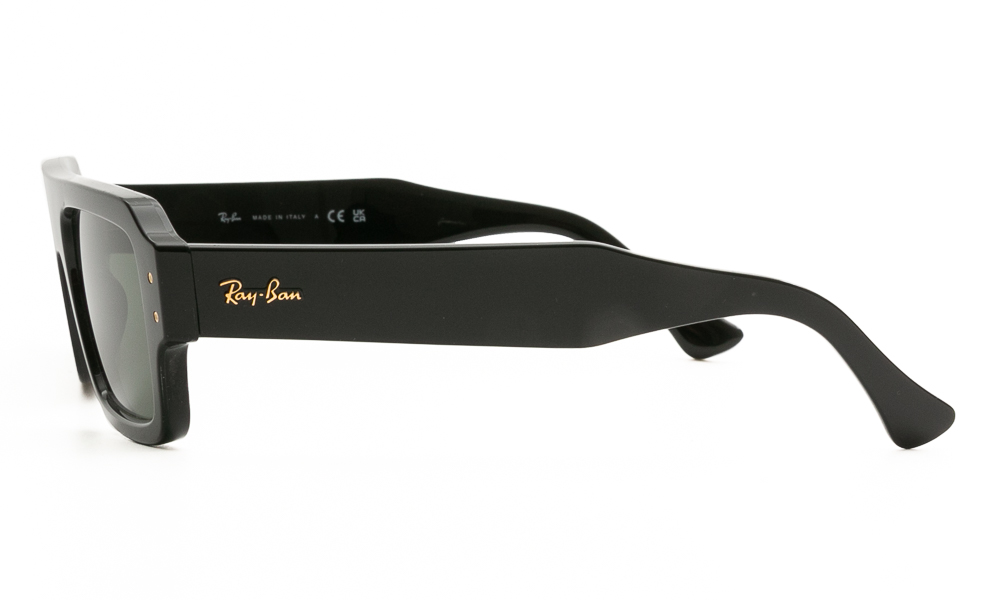 SUNGLASSES RAY BAN 4454 667731 5320 3