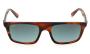 SUNGLASSES RAY BAN 2222 954/3M 5720