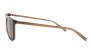 SUNGLASSES ARNETTE 4364 299780 5717